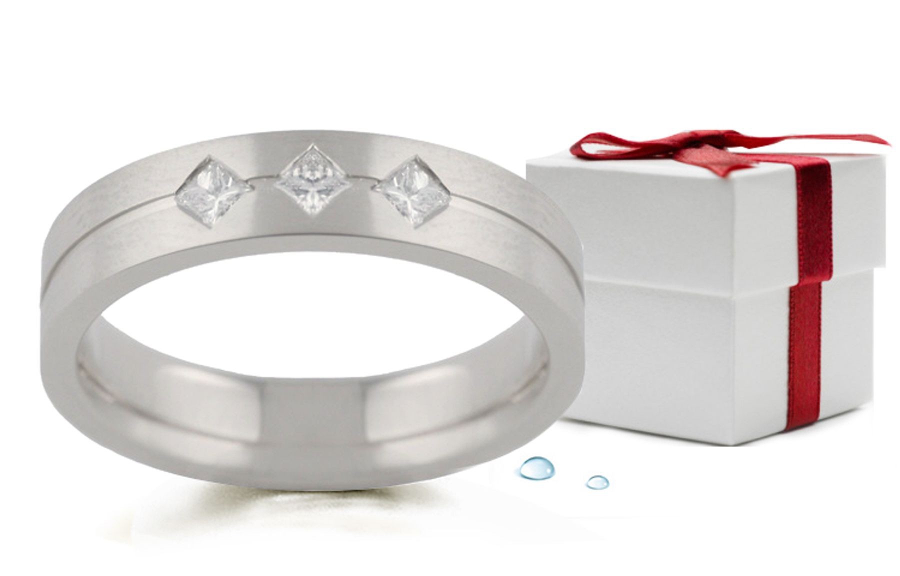 Platinum Burnish Set Princess Cut Diamond Ring