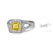 Splendid: Yellow Sapphire & Diamond Micro Pave Ring