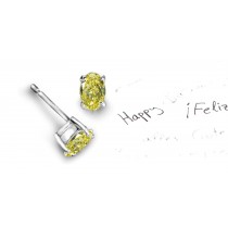 Recently Made Colored Diamonds Designer Collection - Colored Diamonds & White Diamonds Oval Yellow Diamond Earrings Available in Platinum or Gold Settings