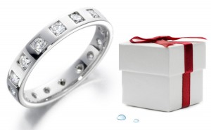 Eternity Anniversary Bands: Platinum Ring Burnish Set with Round Diamonds